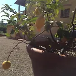 Casa de Férias Talli Francesco - Casanova 2